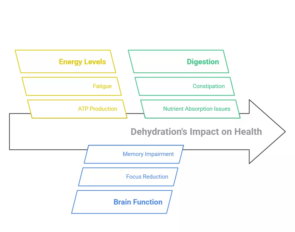 An infographic illustrating the negative health effects of dehydration, including impacts on energy levels, digestion, and brain function.