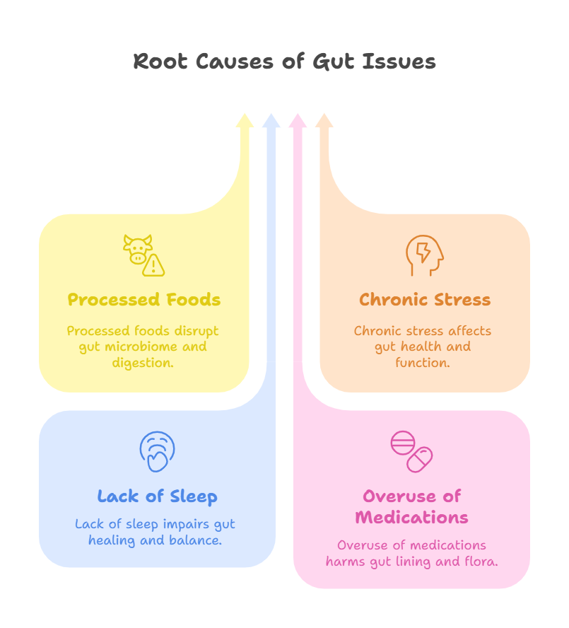 Infographic showing root causes of gut issues: processed foods, stress, lack of sleep, and medication overuse.
