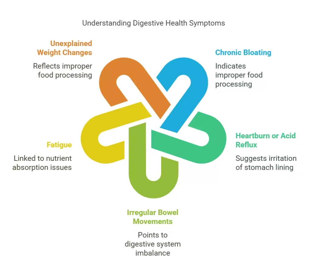 Infographic showing common signs of digestive damage, including bloating, fatigue, weight changes, and reflux.