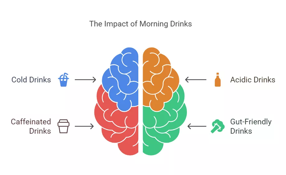 Infographic showing the impact of morning drinks on digestion, comparing cold drinks, caffeinated drinks, acidic drinks, and gut-friendly drinks.